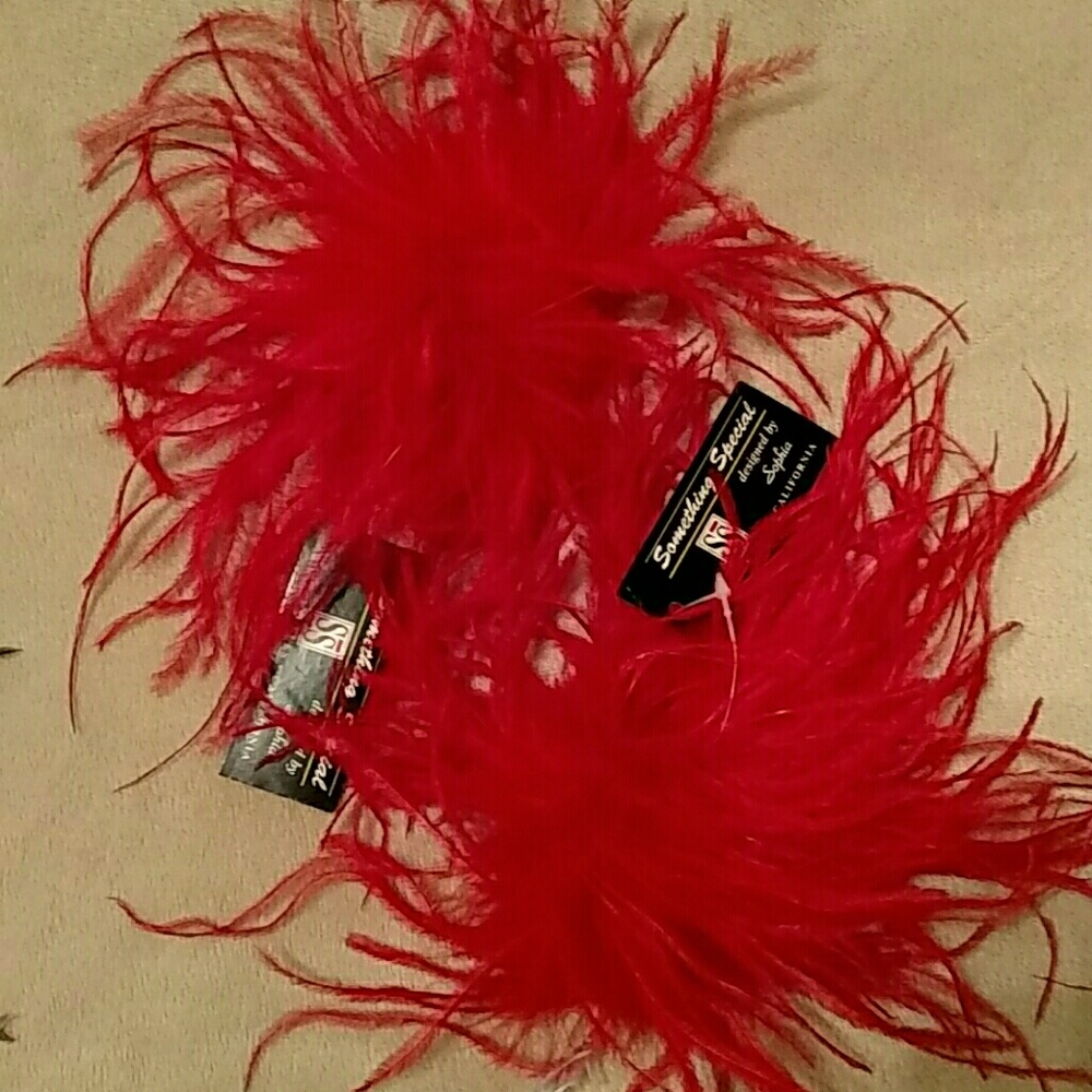 2 Red Feather Pins